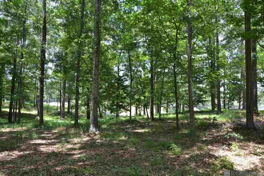5804 Laurel Hill Ln, Saint Francisville, LA 70775 - #2