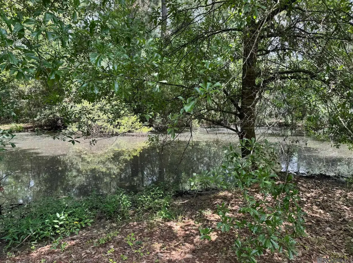 2553 Lirocchi Dr, Baton Rouge, LA 70816 - #1
