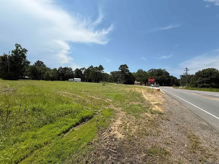 TBD Springfield Rd, Denham Springs, LA 70706 - #2