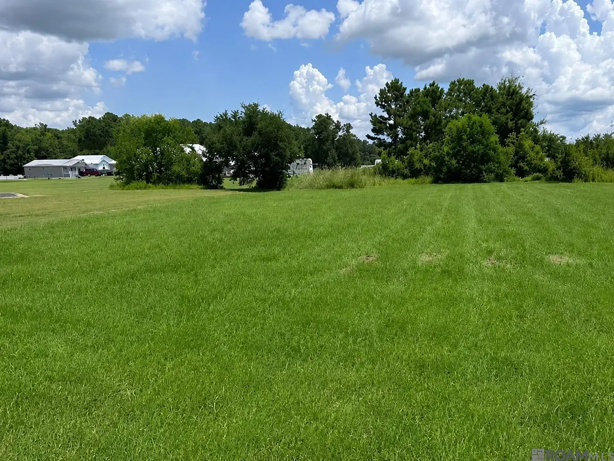 17070 Coles Creek, Springfield, LA 70462 - #1