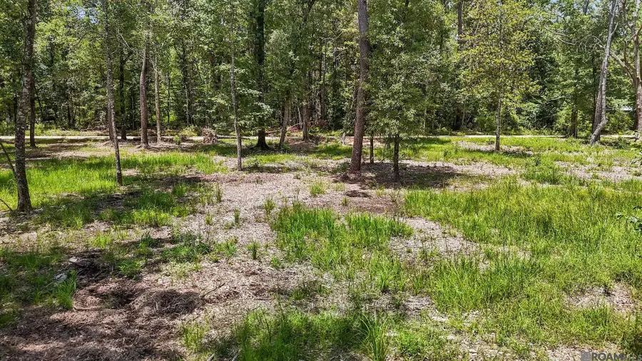 334 Westmoreland Ln, Montpelier, LA 70422 - #2