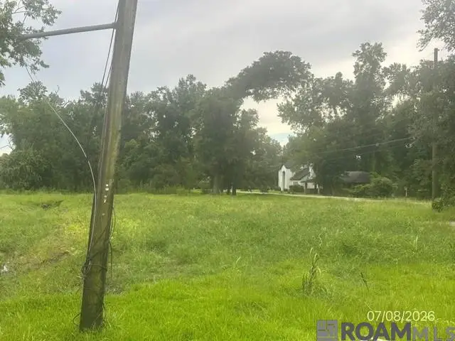 710 S Pleasant Ave, Gonzales, LA 70737 - #2