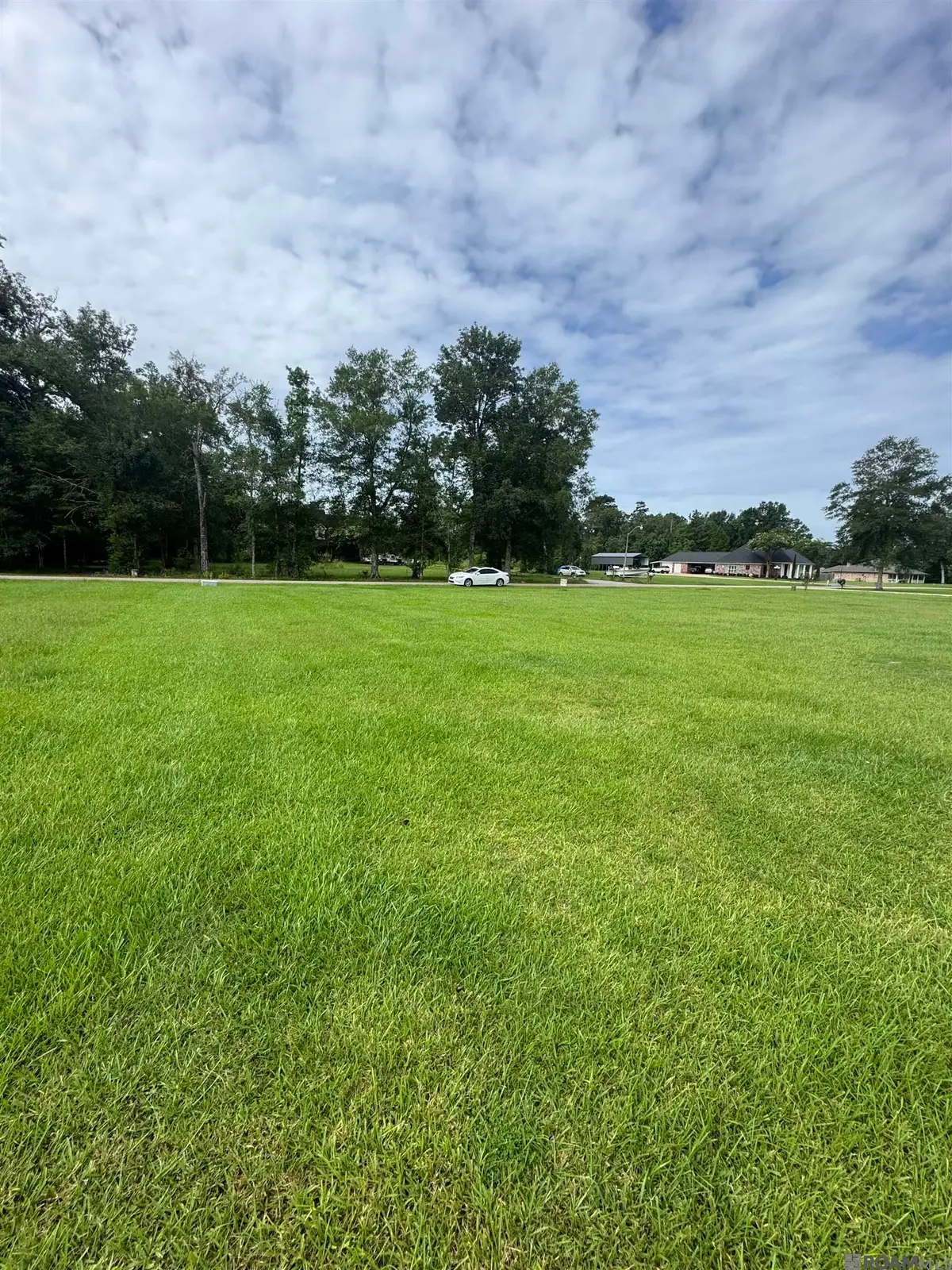 10605 Carol Lynn Rd, Denham Springs, LA 70726 - #1