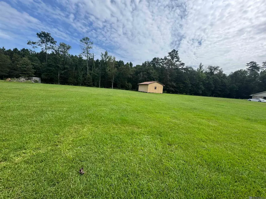 10605 Carol Lynn Rd, Denham Springs, LA 70726 - #2