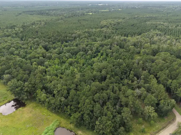 28545 Coker Vail Rd, Holden, LA 70744