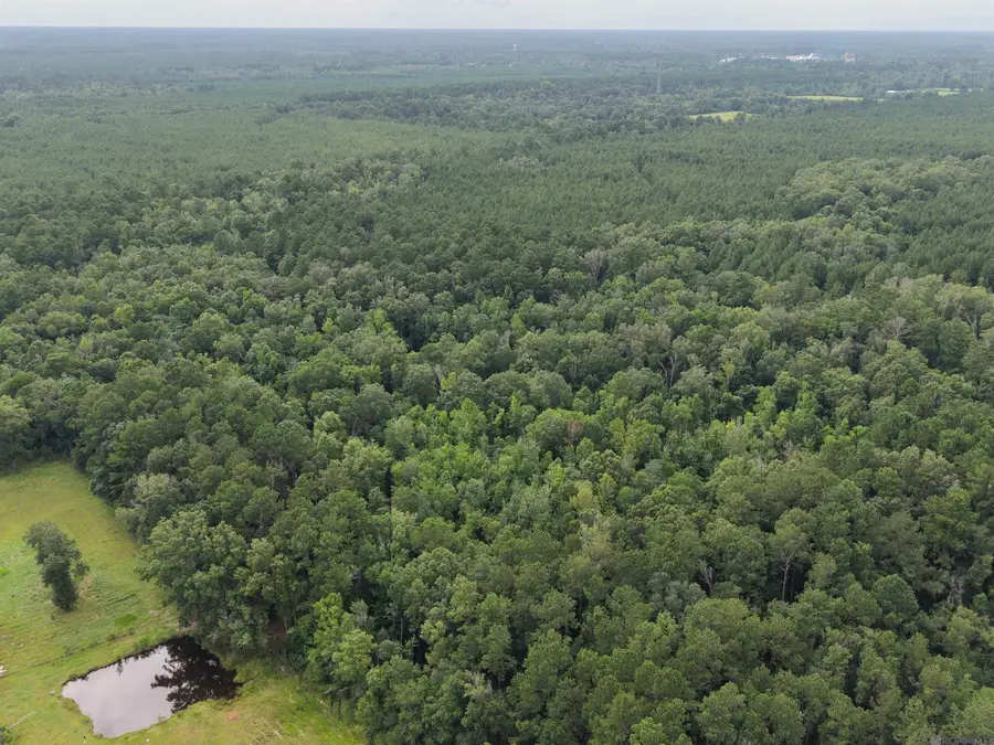 28545 Coker Vail Rd, Holden, LA 70744 - #2