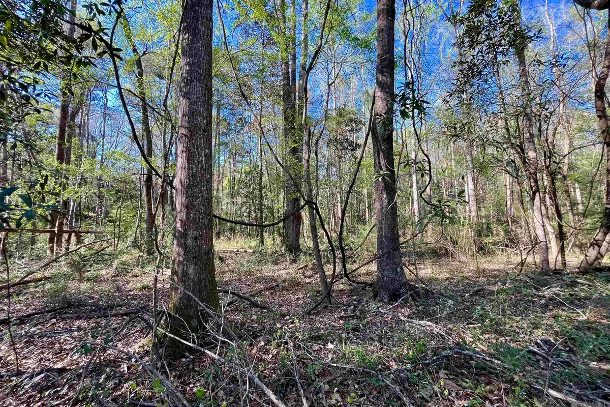40 Lillian Ln, Ethel, LA 70730 - #1