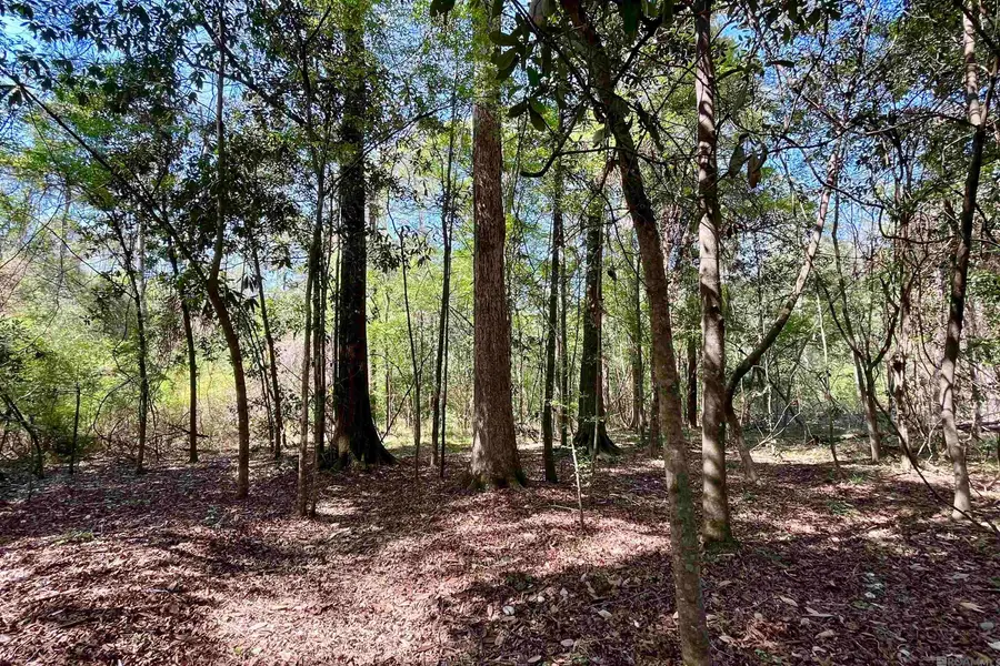 40 Lillian Ln, Ethel, LA 70730 - #3