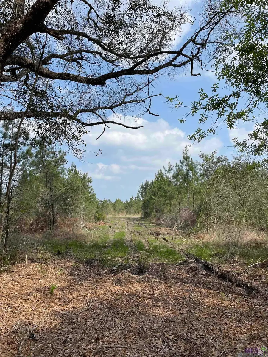 Tract 12 Lorin Wall Rd, Holden, LA 70774 - #2