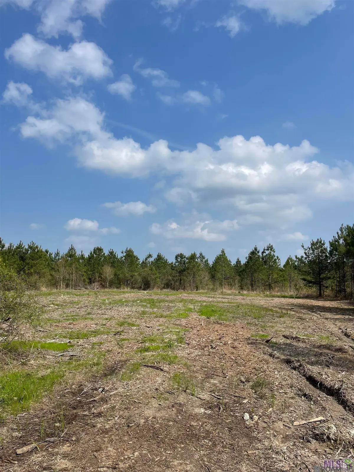 Tract 14 Lorin Wall Rd, Holden, LA 70774 - #1