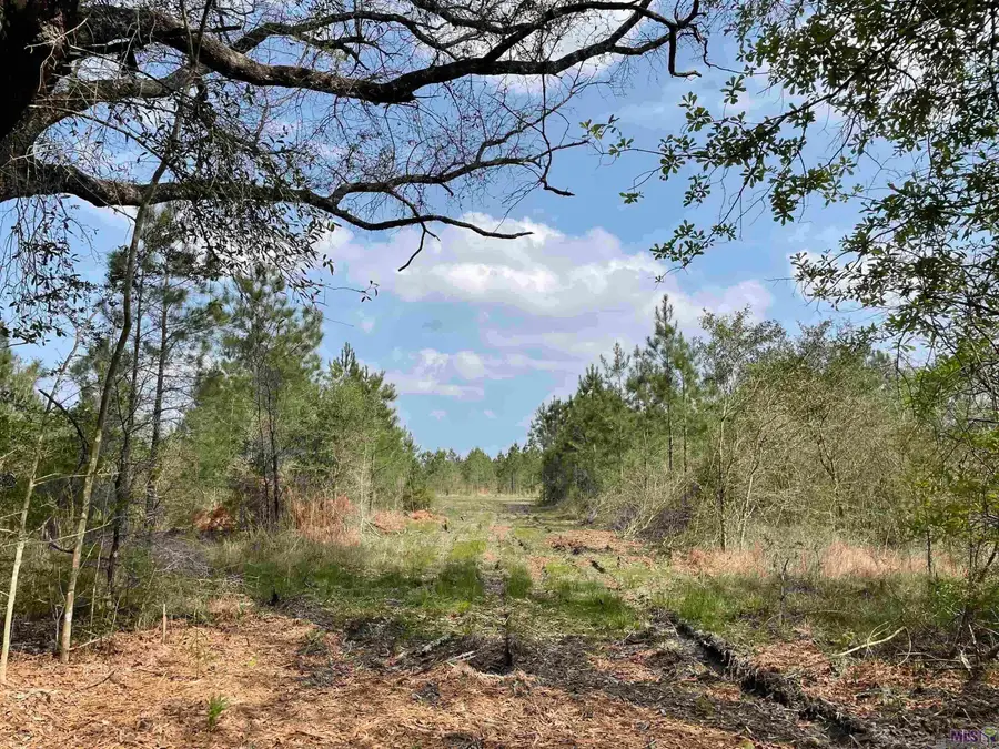 Tract 14 Lorin Wall Rd, Holden, LA 70774 - #3
