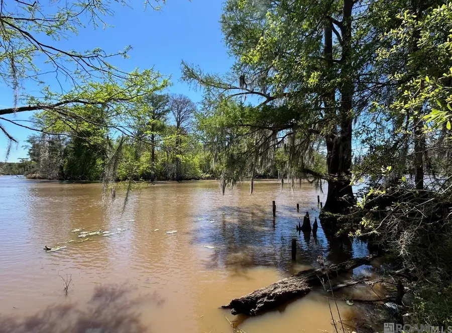 Lot 23 & 24 La Trace Rd, Livingston, LA 70754 - #2
