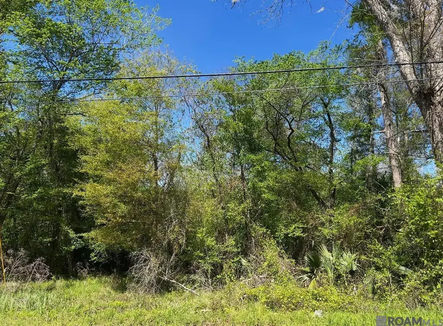 Lot 23 & 24 La Trace Rd, Livingston, LA 70754 - #3