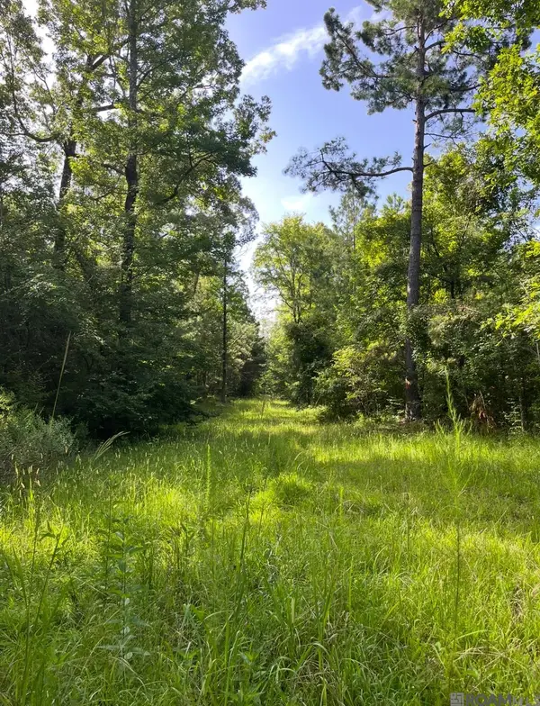 Paul Gallows Road, Utica, MS 39086