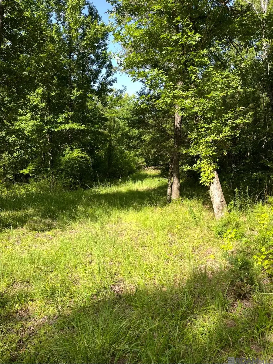 Paul Gallows Road, Utica, MS 39086 - #2