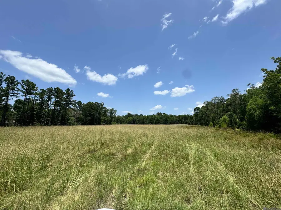 27554 S Frost Rd, Livingston, LA 70754 - #2