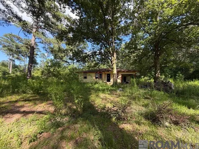 30260 N Doyle Rd, Holden, LA 70744 - #2