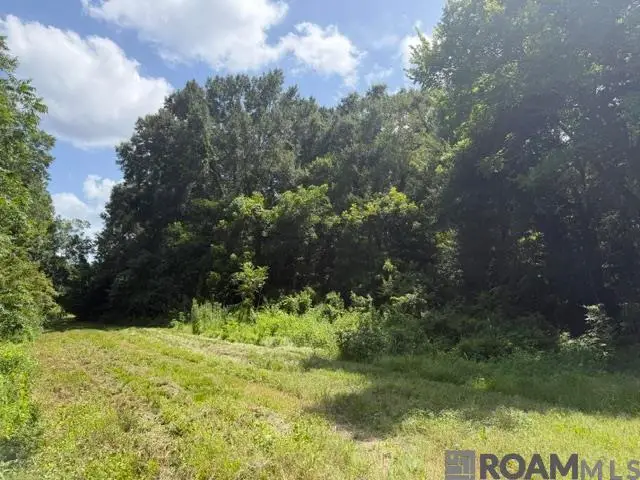 12140 Boudreau St, New Roads, LA 70760 - #2