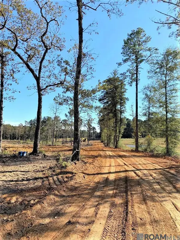 1A La Hwy 63, Clinton, LA 70722