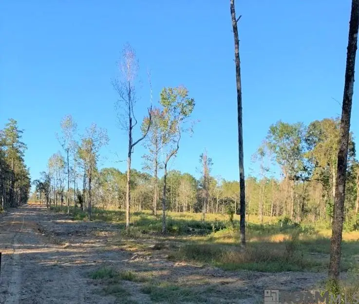 1A La Hwy 63, Clinton, LA 70722 - #2
