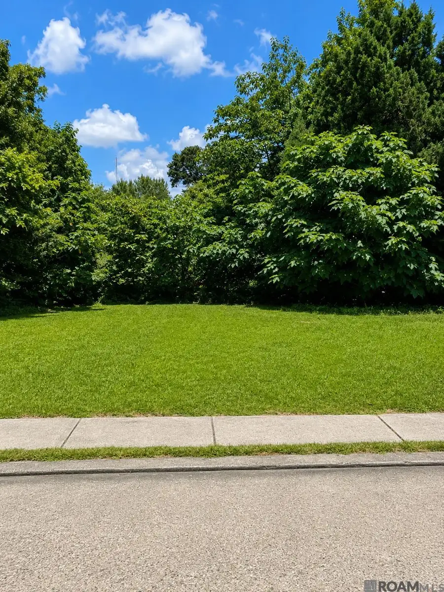 439 Howard St, Baton Rouge, LA 70802 - #3