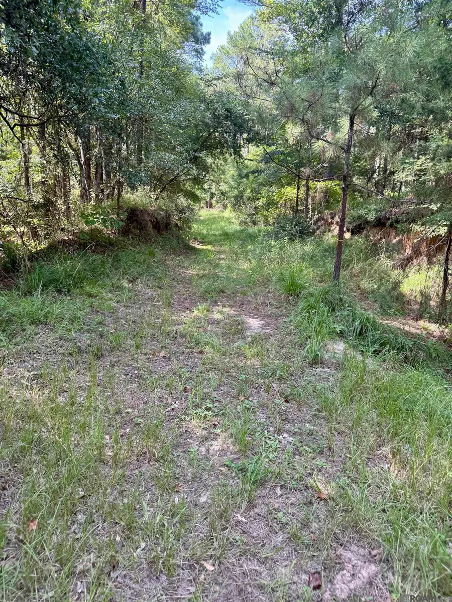 0 Vine Hollow, Woodville, MS 39669 - #2