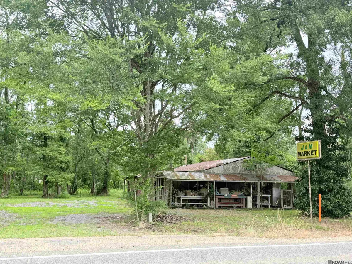 18210 S Highway 16, Port Vincent, LA 70726 - #1