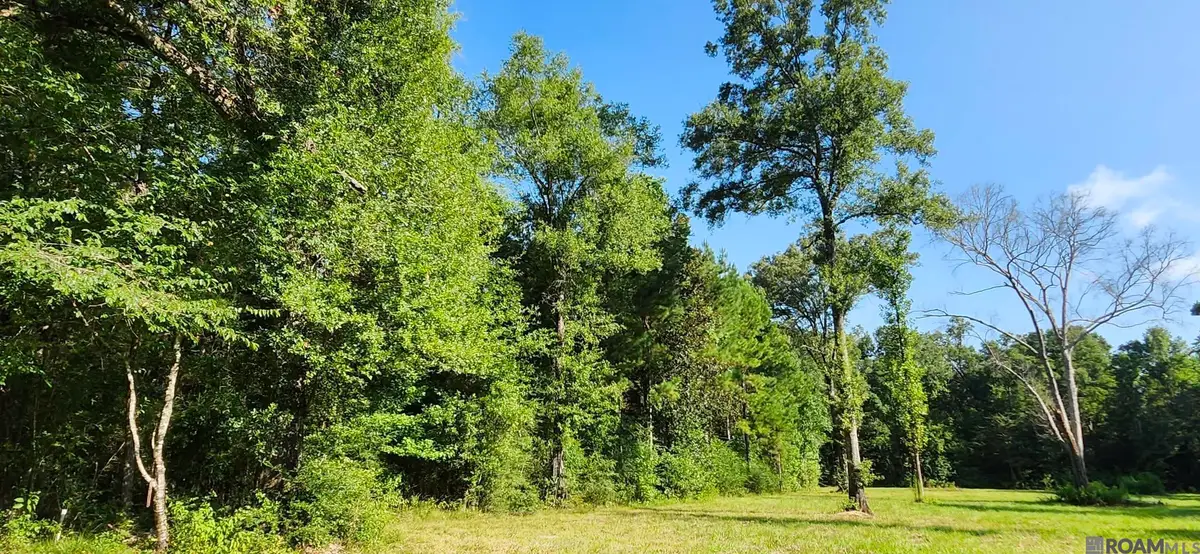 TBD Reames Rd, Zachary, LA 70791 - #1