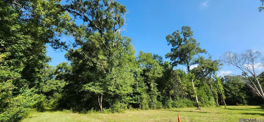 TBD Reames Rd, Zachary, LA 70791 - #2