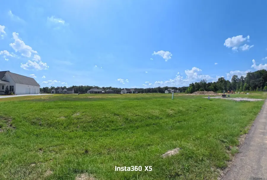 16067 Leni Dr, Prairieville, LA 70769 - #2