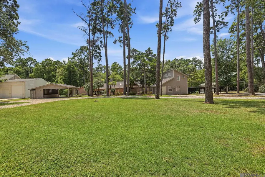 31582 River Pines Dr, Springfield, LA 70462 - #2