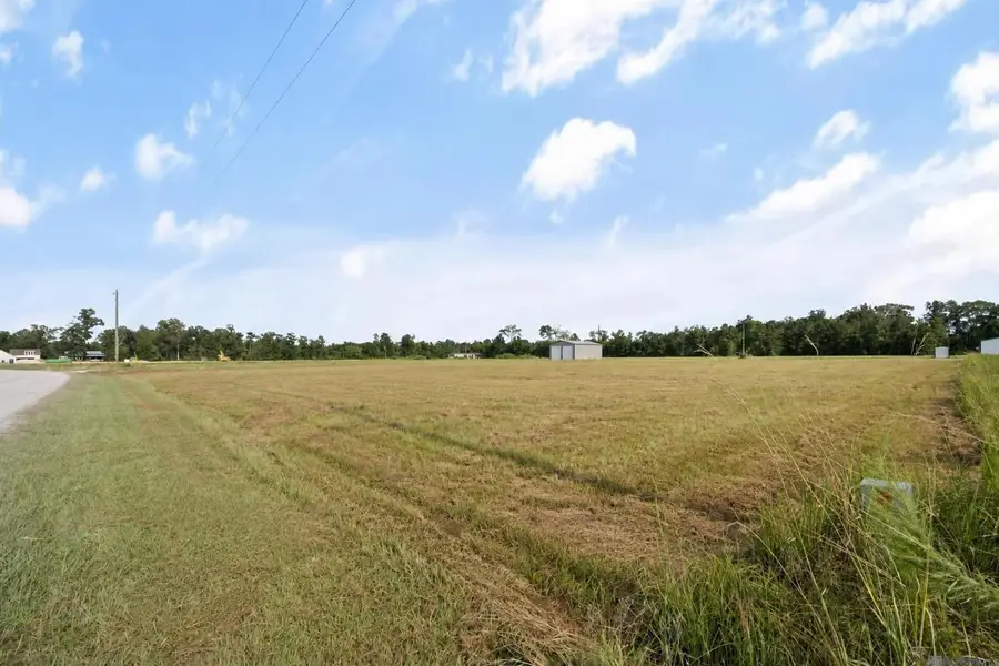 21262 Mayberry Lane, Livingston, LA 70754 - #2