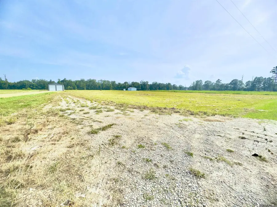 21262 Mayberry Lane, Livingston, LA 70754 - #3