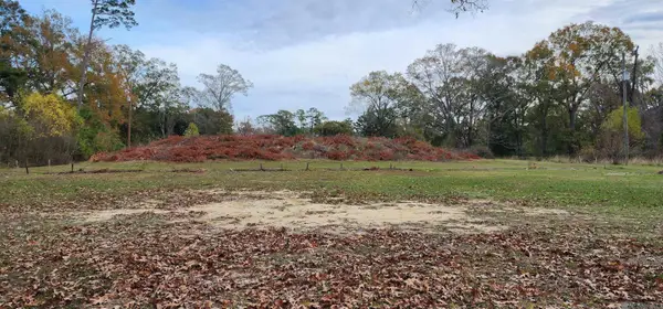 945 S River Rd, Denham Springs, LA 70726