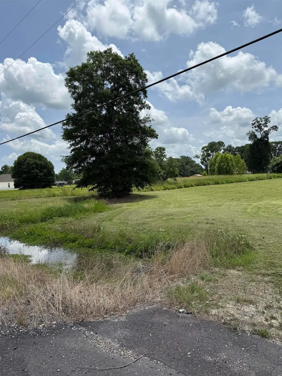 40303 Causey Rd, Prairieville, LA 70769 - #2