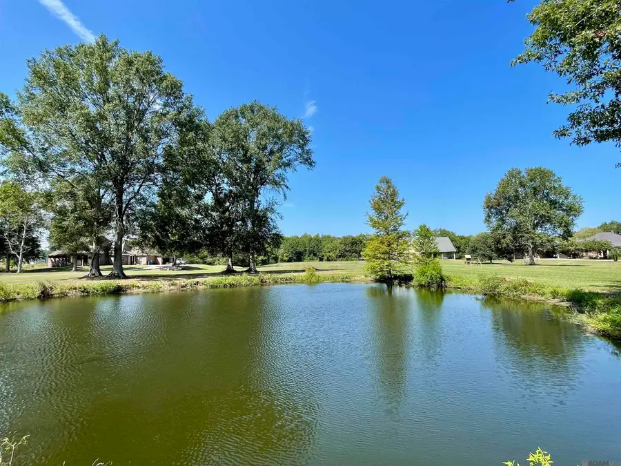 841 Poydras Bayou Dr, Port Allen, LA 70767 - #3
