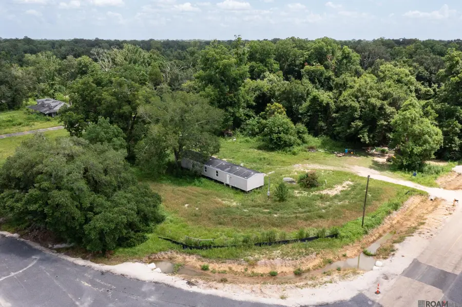15516 Daigle Rd, Prairieville, LA 70769 - #3