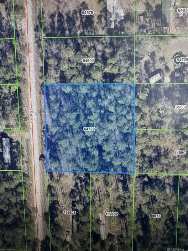 LOT 10 & 11 Chip St, Abita Springs, LA 70420