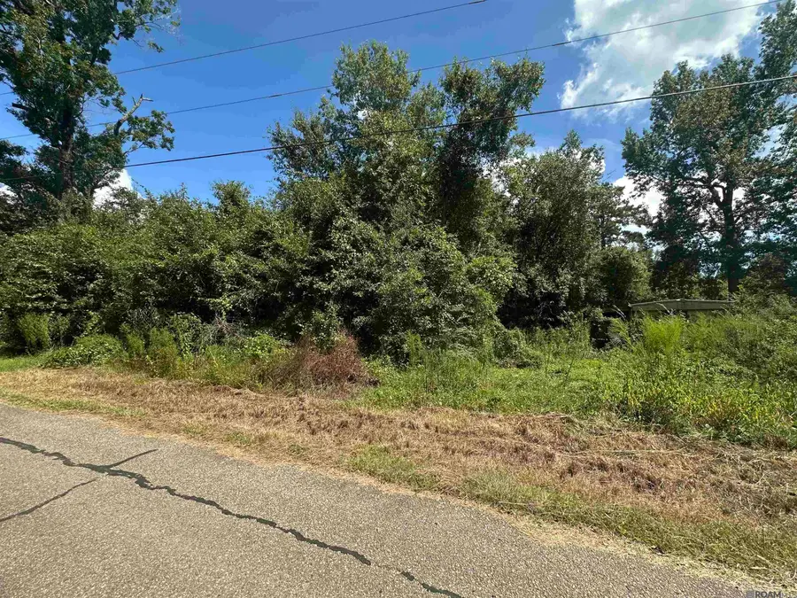 lot 23-A Gunboat Island Cir, Maurepas, LA 70449 - #2