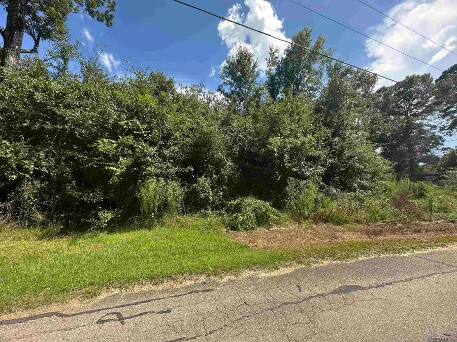 lot 23-A Gunboat Island Cir, Maurepas, LA 70449 - #3