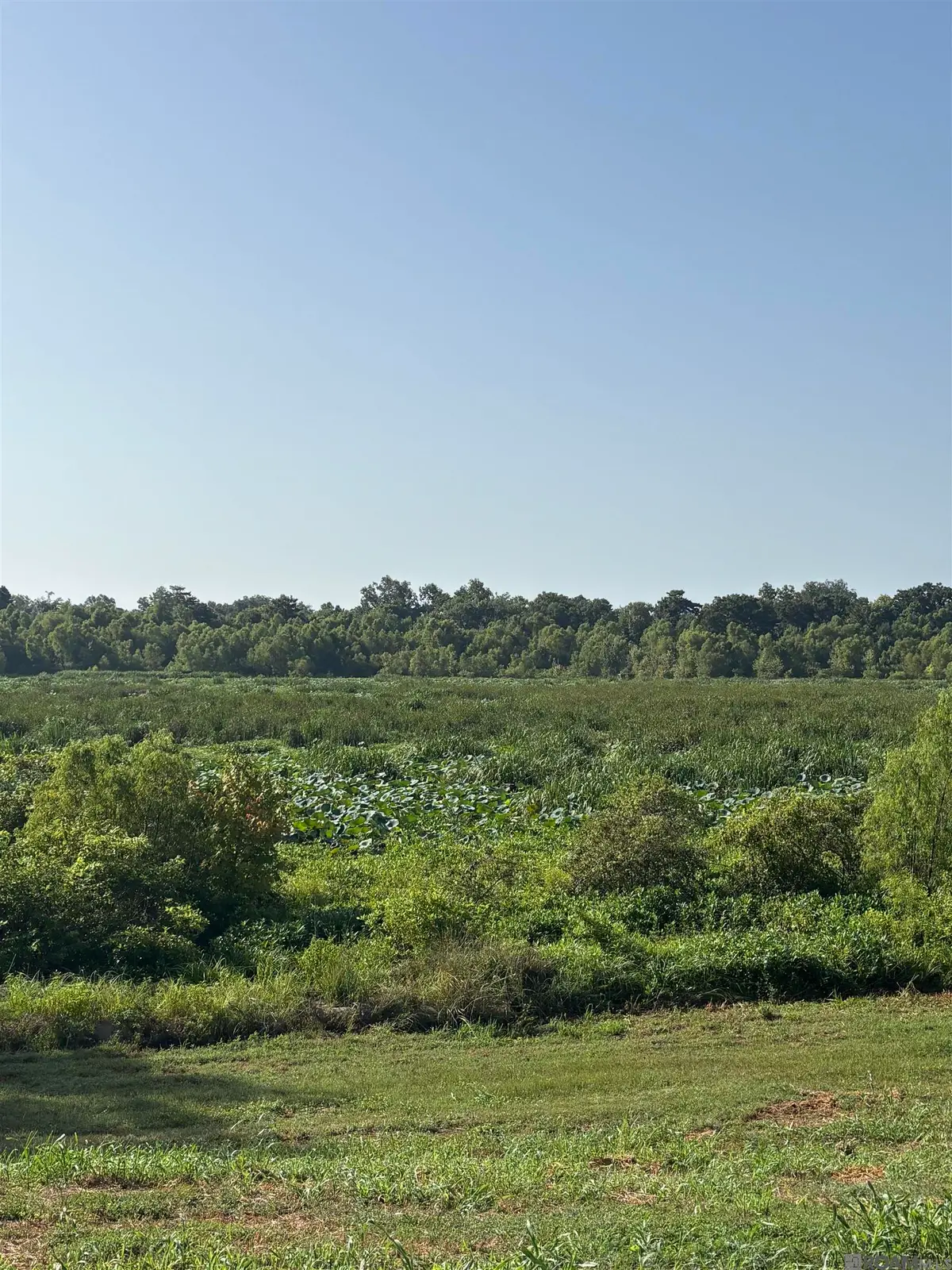15334 Chenal Rd, Jarreau, LA 70749 - #1