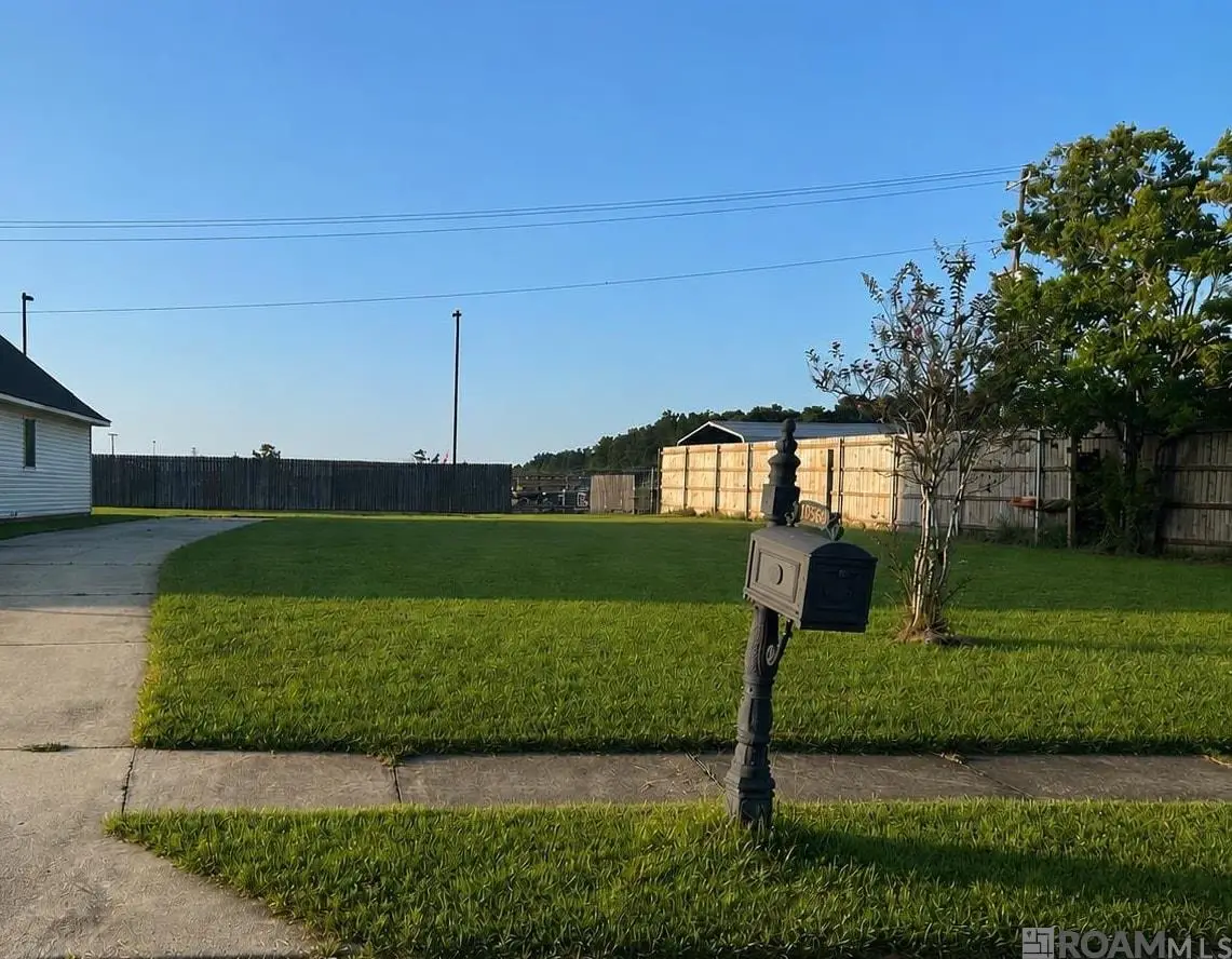 25469 Black Lake Ave, Livingston, LA 70754 - #1