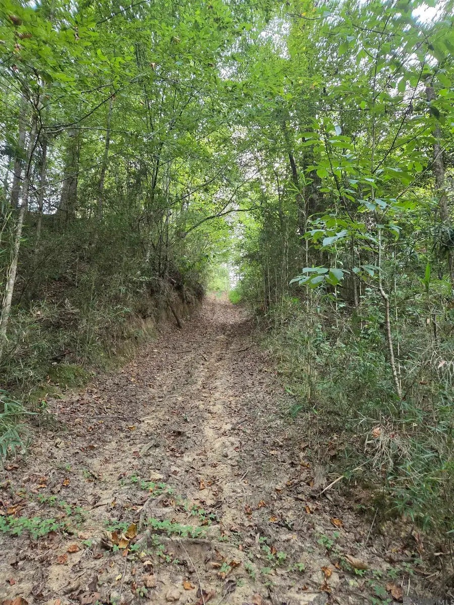 Lots 2-4 Farrar Davis Rd, Saint Francisville, LA 70775 - #2