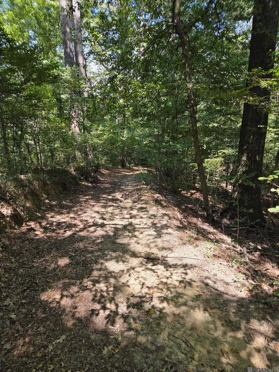 Lots 2-4 Farrar Davis Rd, Saint Francisville, LA 70775 - #3