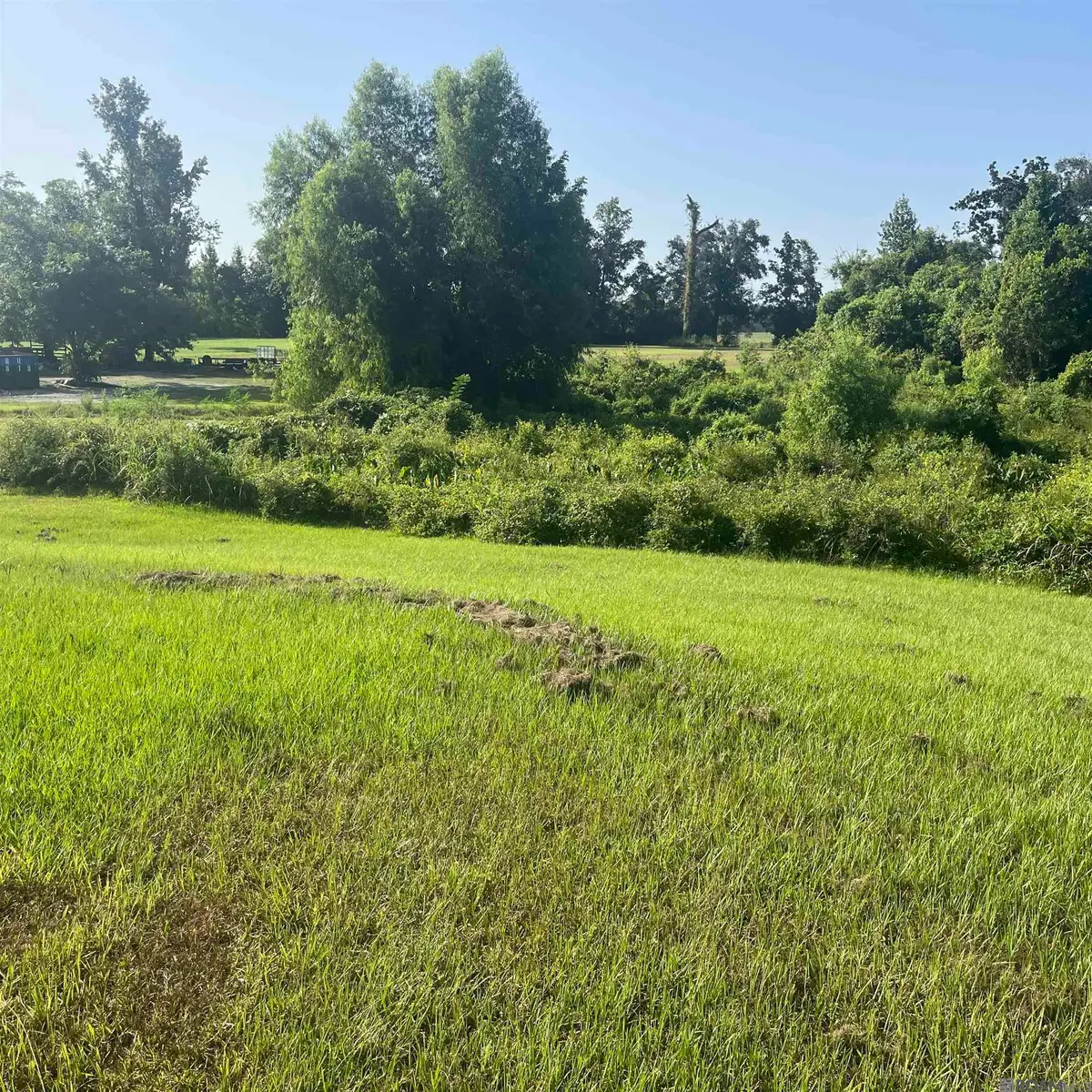 22718 Hoo Shoo Too Rd, Baton Rouge, LA 70817 - #1