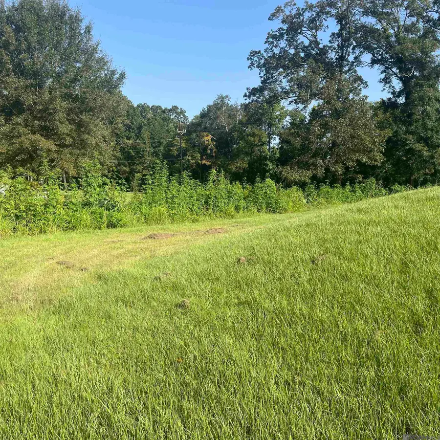 22718 Hoo Shoo Too Rd, Baton Rouge, LA 70817 - #3