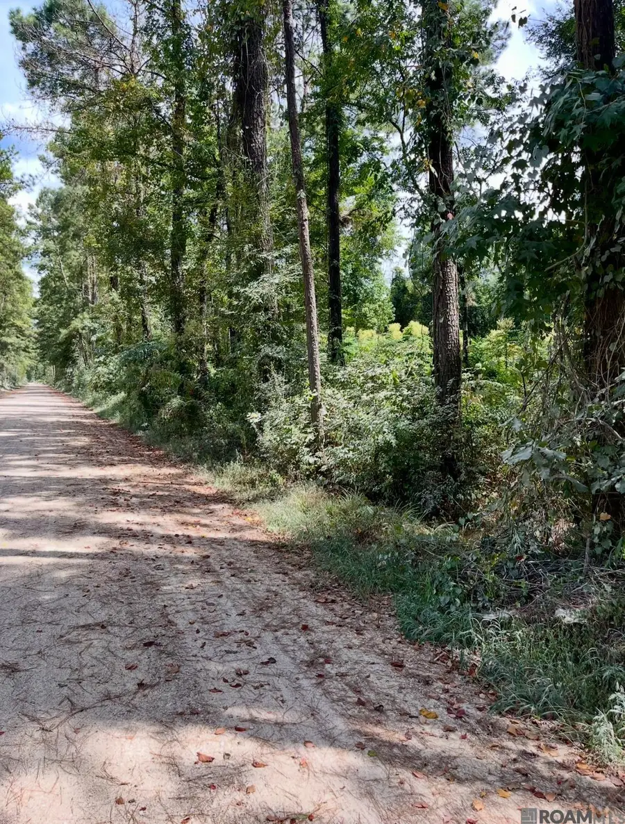 J.h. Jenkins Ln, Denham Springs, LA 70706 - #2