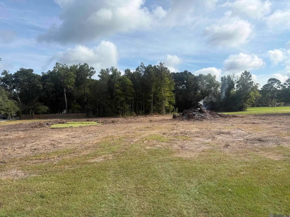 43046 Weber City Rd, Gonzales, LA 70737 - #1