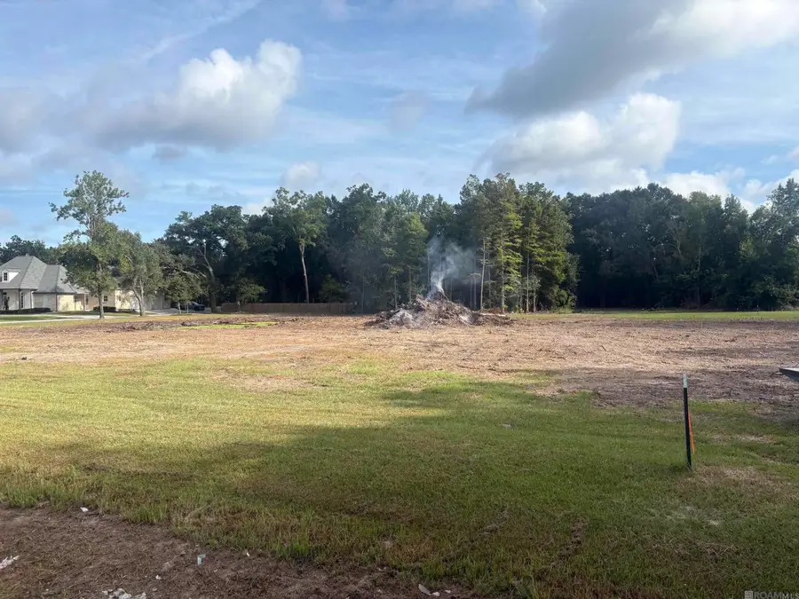 43046 Weber City Rd, Gonzales, LA 70737 - #2