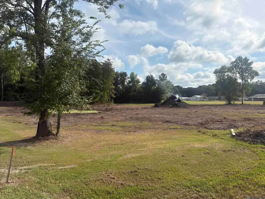 43046 Weber City Rd, Gonzales, LA 70737 - #3